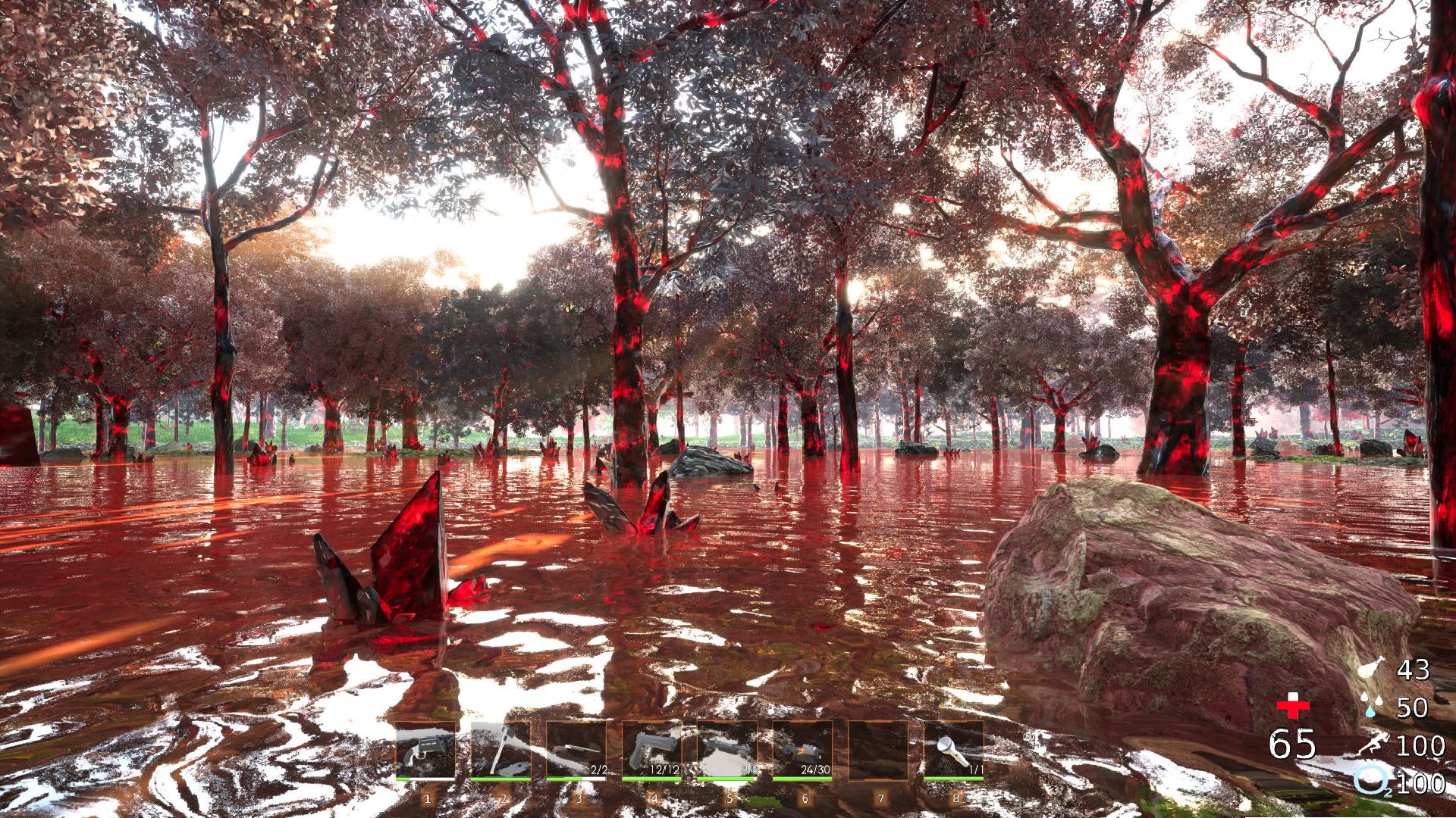 Bood Forest 1080