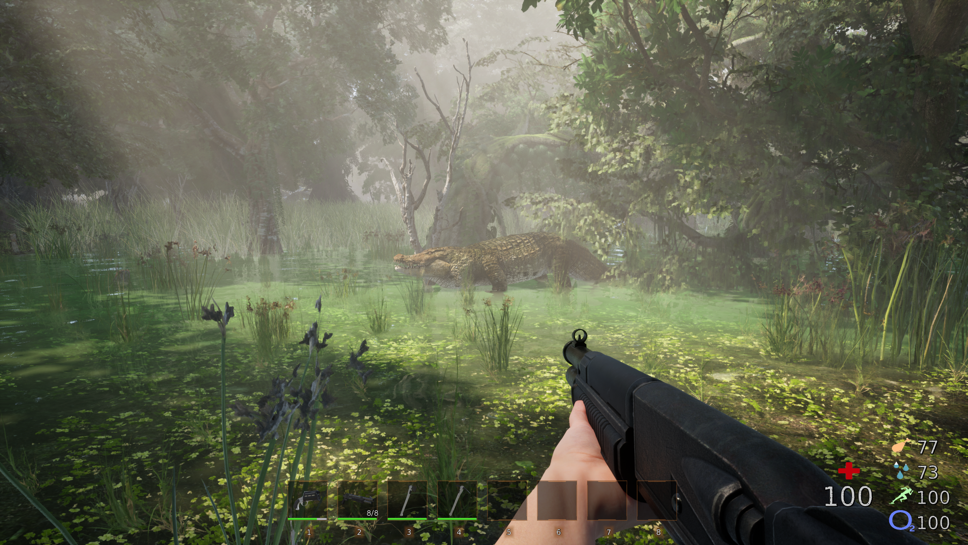 Croc Swamp 2