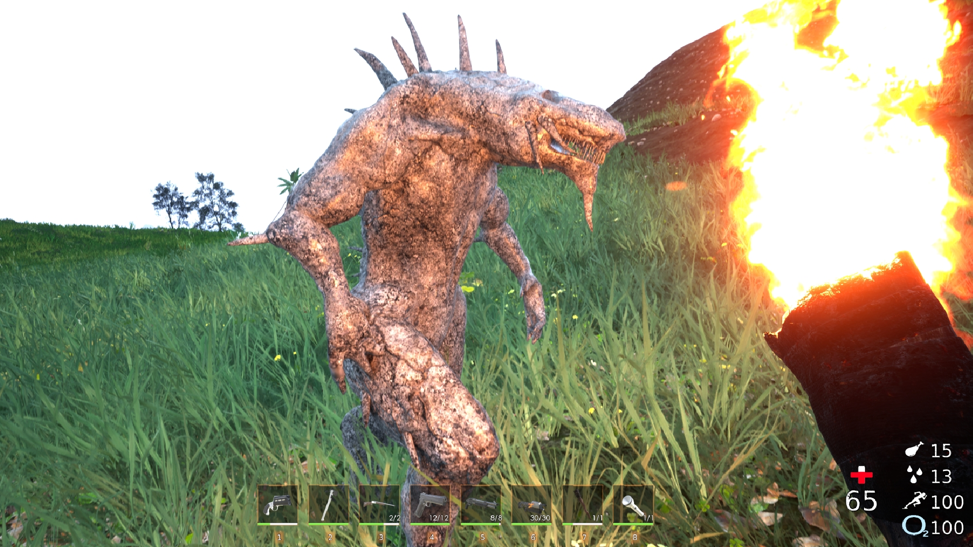 Gargoyle Stone 1080